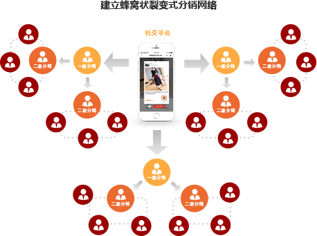 一普体育营销解决方案